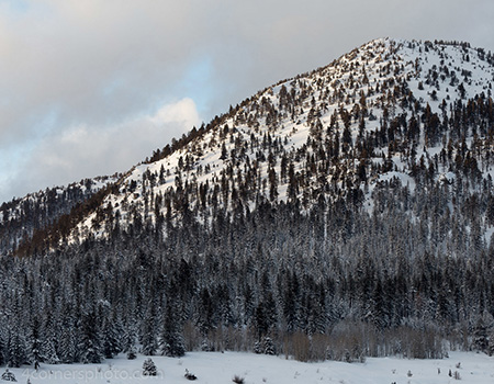 waterhouse peak